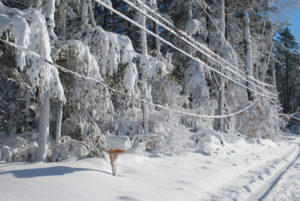 snow covered road in MA with low power wires