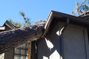 tree damage from falling into roof overnight and hiring professional emergency 24/7 overnight board-up services